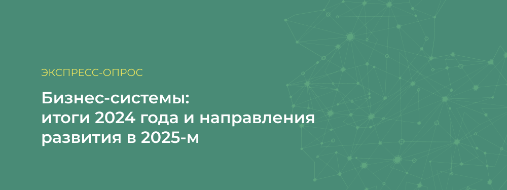 Бизнес-Системы: итоги 2024 года и направления развития в 2025-м