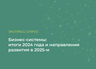 Бизнес-Системы: итоги 2024 года и направления развития в 2025-м